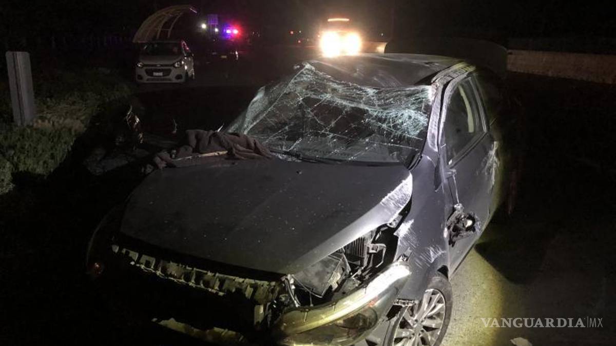 Sale ilesa conductora tras arrollar a dos vacas, en carretera Zacatecas