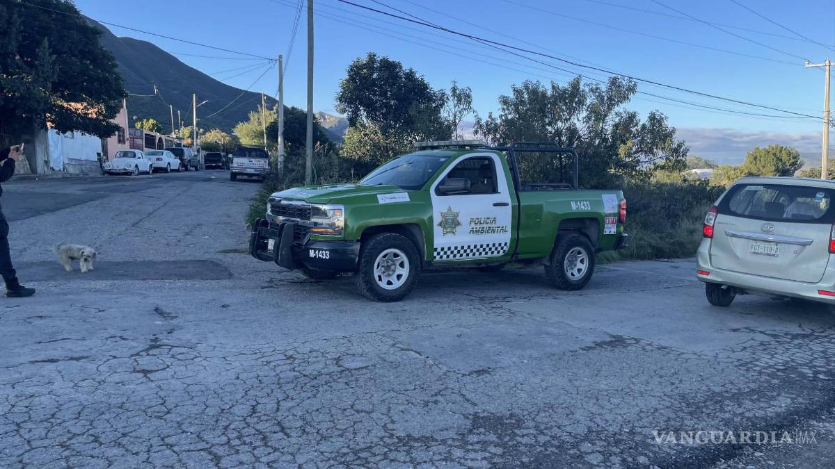 Reportan osezno en zona de Lomas de Lourdes