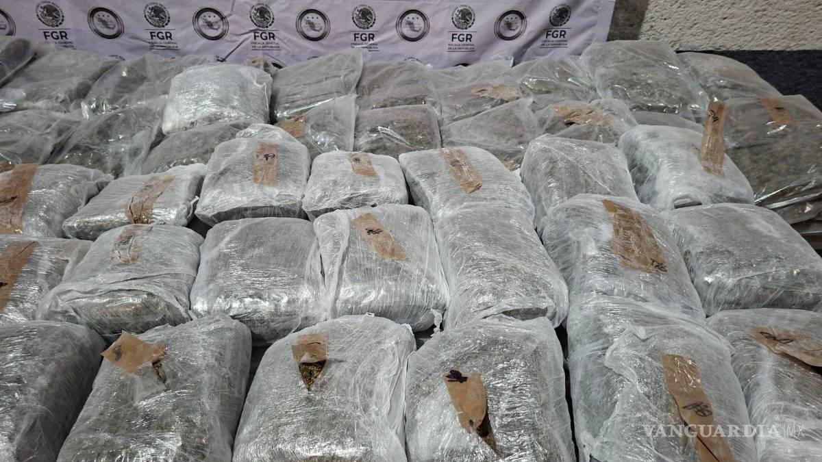 Capturan a hombre con 228 kilos de marihuana en General Bravo, Nuevo León