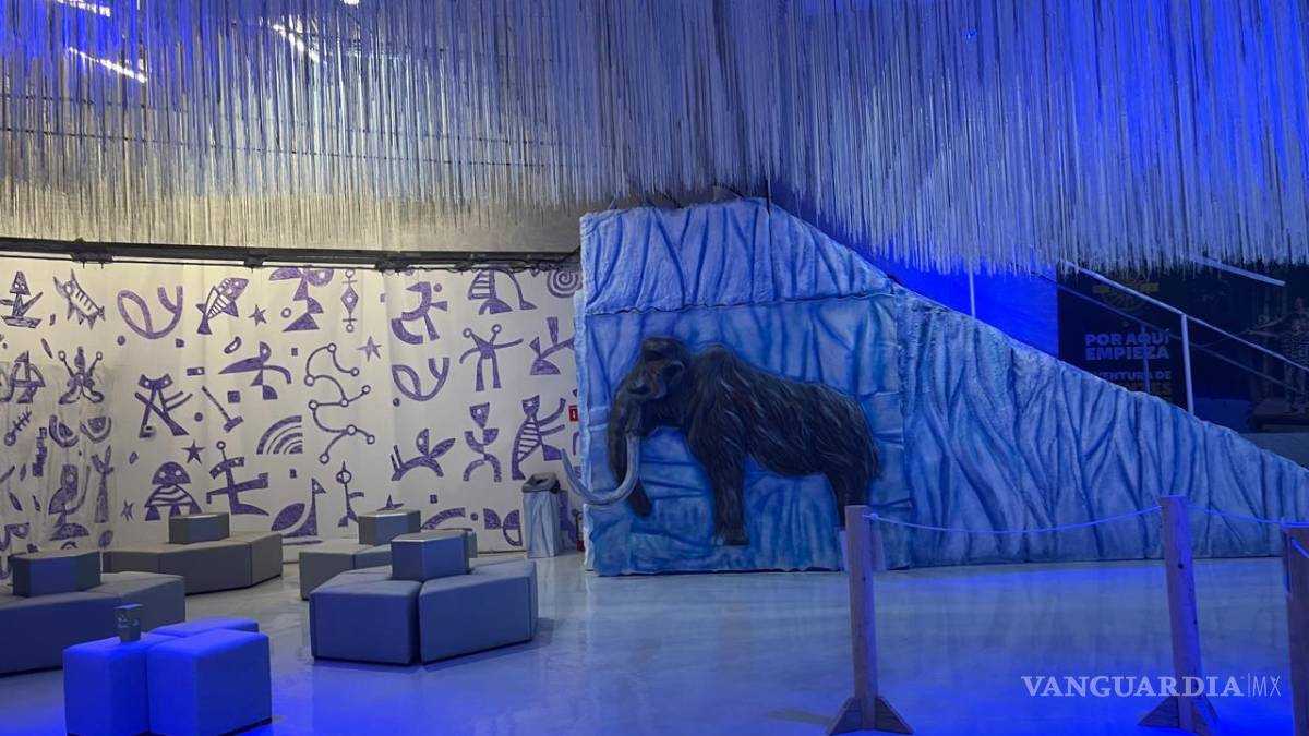 ¿Listo para la aventura? Conoce Sealand, el primer acuario interactivo en Monterrey