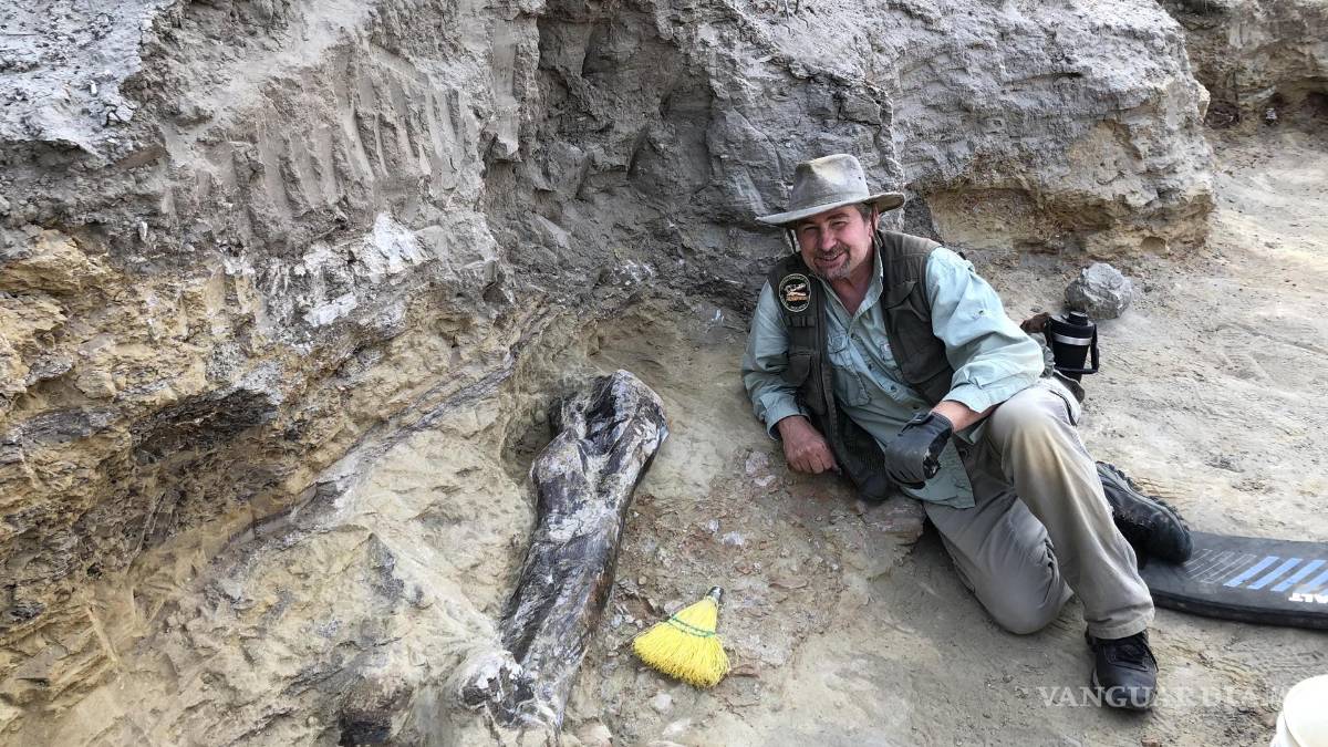 Museo de Florida exhibirá un Triceratops, el mayor de su especie nunca antes descubierto