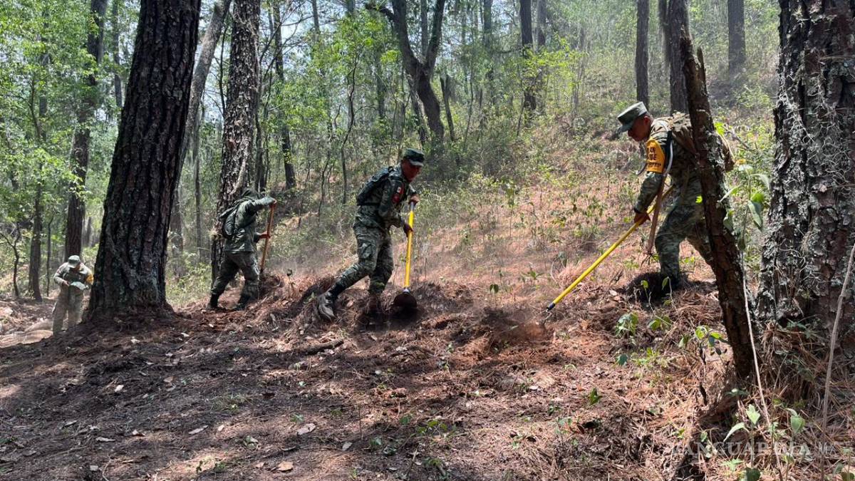 Aplican Plan DN-III-E por incendio en Santiago, Nuevo León