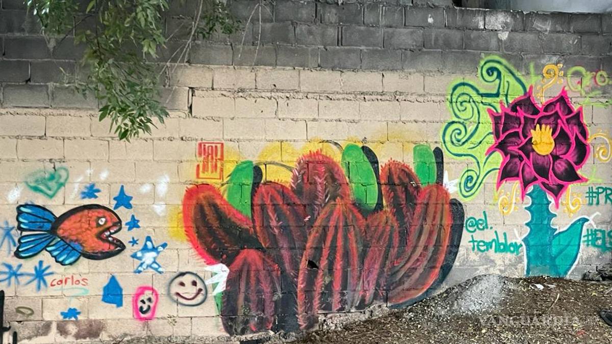 Invitan a ciudadanos a sumarse a la limpieza del arroyo Urdiñola