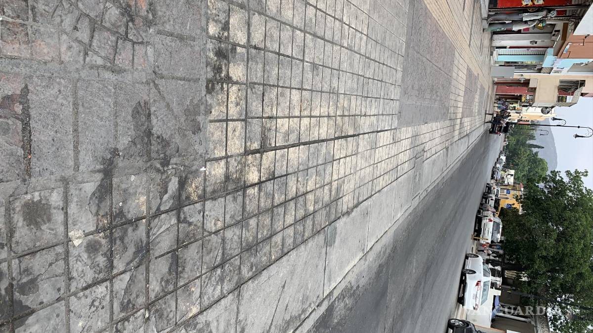 Saltillo: la calle Victoria requiere una “manita de gato”
