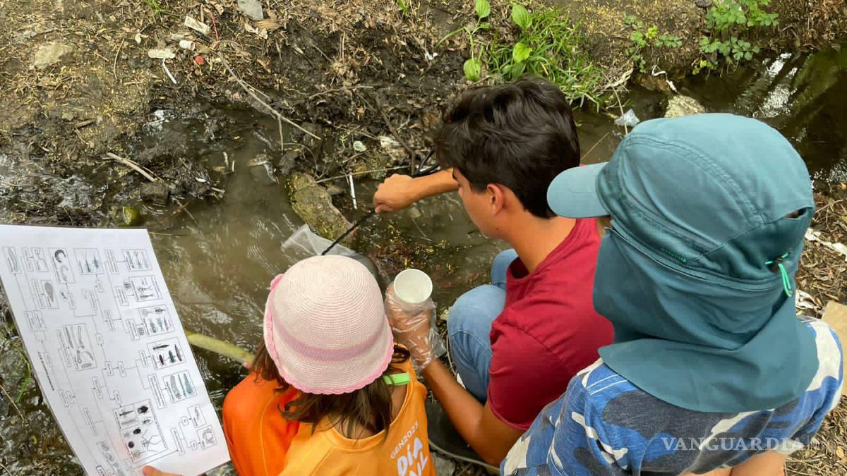 Alto grado de contaminación del Pozo Azul vuelve letal entorno para Carpita de Saltillo