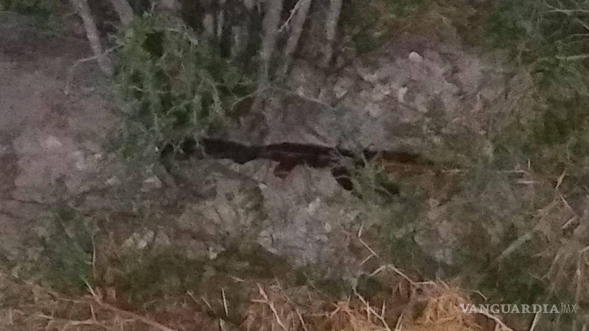 Atacan a balazos a elementos del GATEM en Monclova