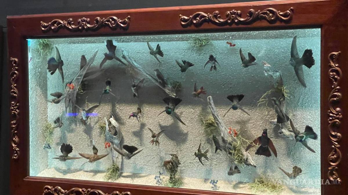 La Milarca abre sus puertas este viernes en San Pedro Garza García, Nuevo León