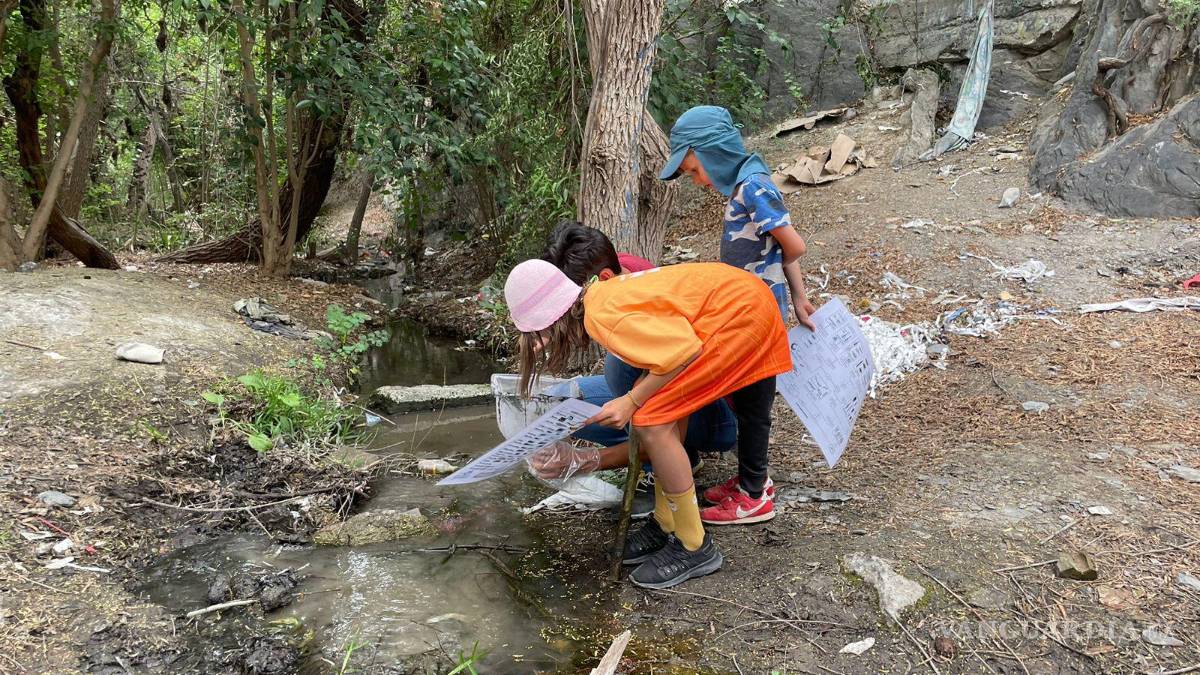 Alto grado de contaminación del Pozo Azul vuelve letal entorno para Carpita de Saltillo