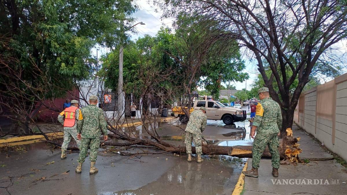Tormenta derriba árboles y deja daños en Acuña y Zaragoza