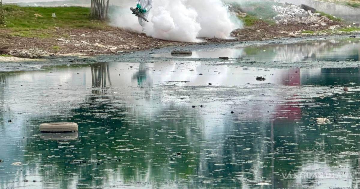 Refuerza San Buenaventura, Coahuila, combate al mosquito del dengue con fumigación