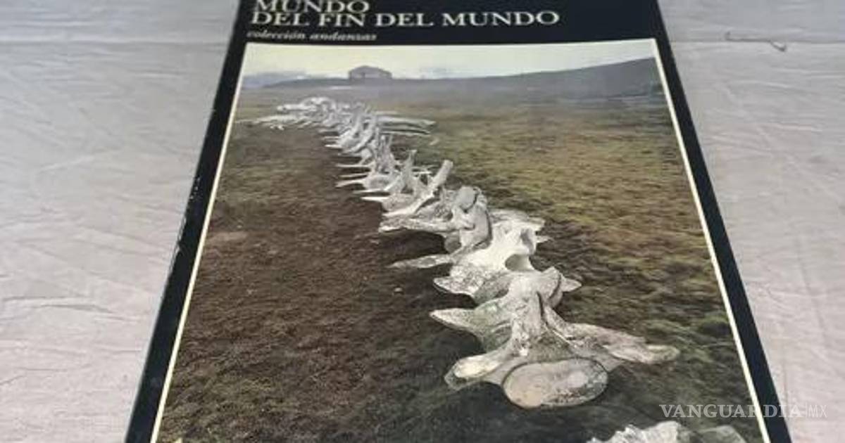 Cuando el mar calla y el hombre mira hacia otro lado