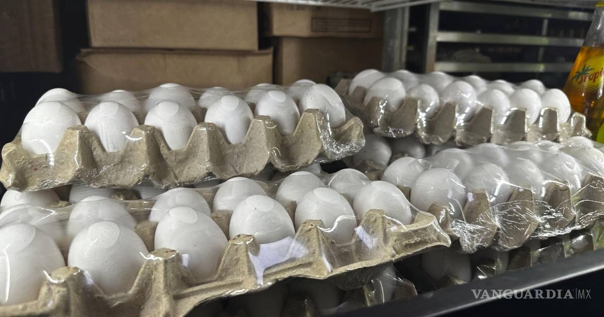 Retiran del mercado 1.5 millones de docenas de huevos por posible contaminación con salmonela