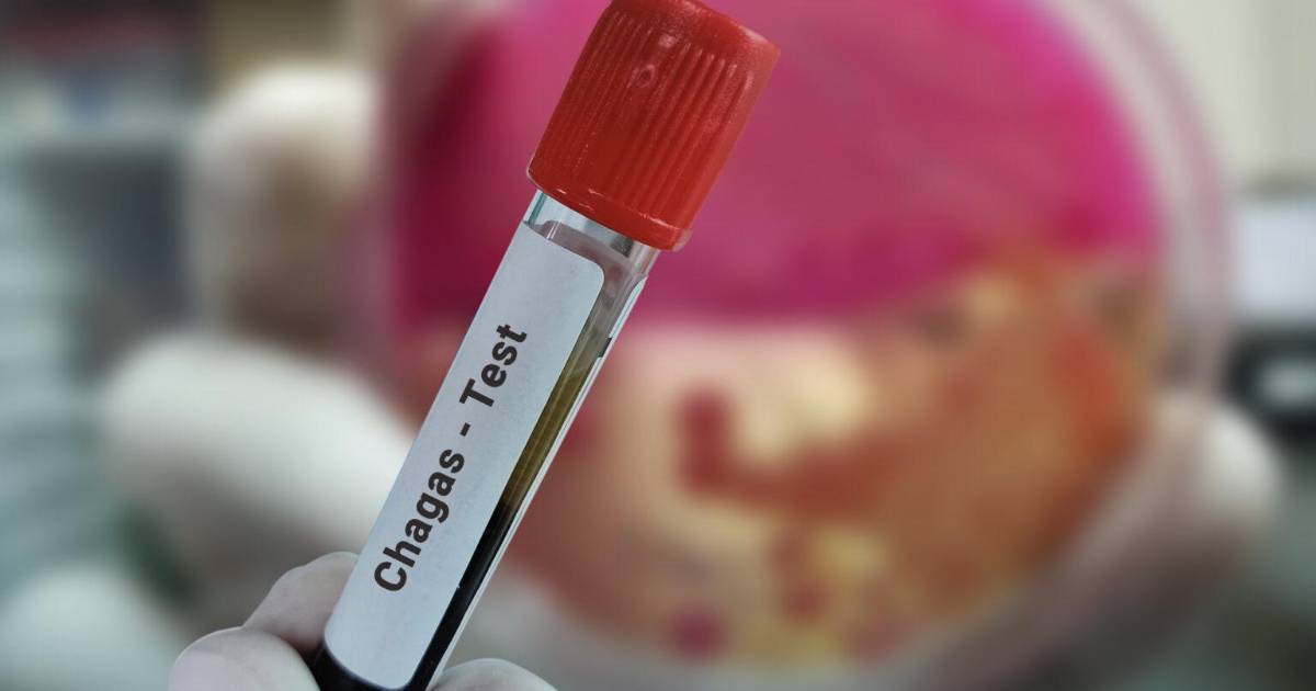 EU confirma que la enfermedad de Chagas; se ha expandido en 32 estados