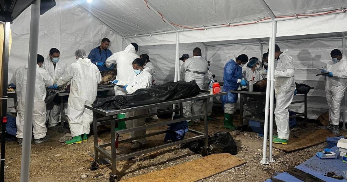 Caso Plenitud: suman 129 cuerpos identificados y 86 denuncias por fraude contra responsables