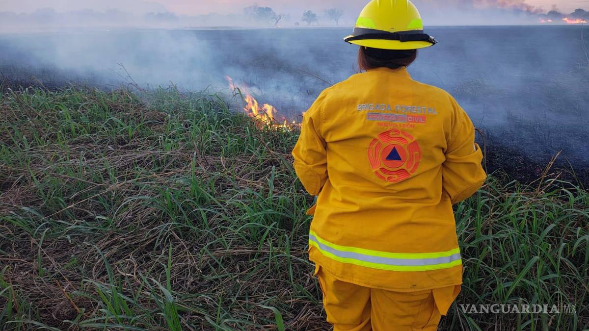 Viento, calor y baja humedad ocasionan 315 incendios en NL