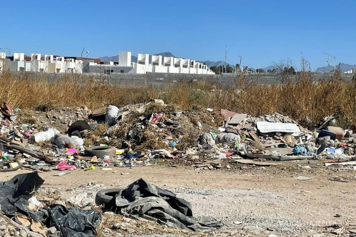 Saltillo: crean nido de ratas con tiradero de basura y escombro en dos terrenos; ‘estamos cansados’, dicen vecinos