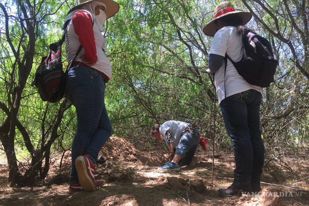 Voluntarias encuentran 40 osamentas y dos cadáveres en Sonora