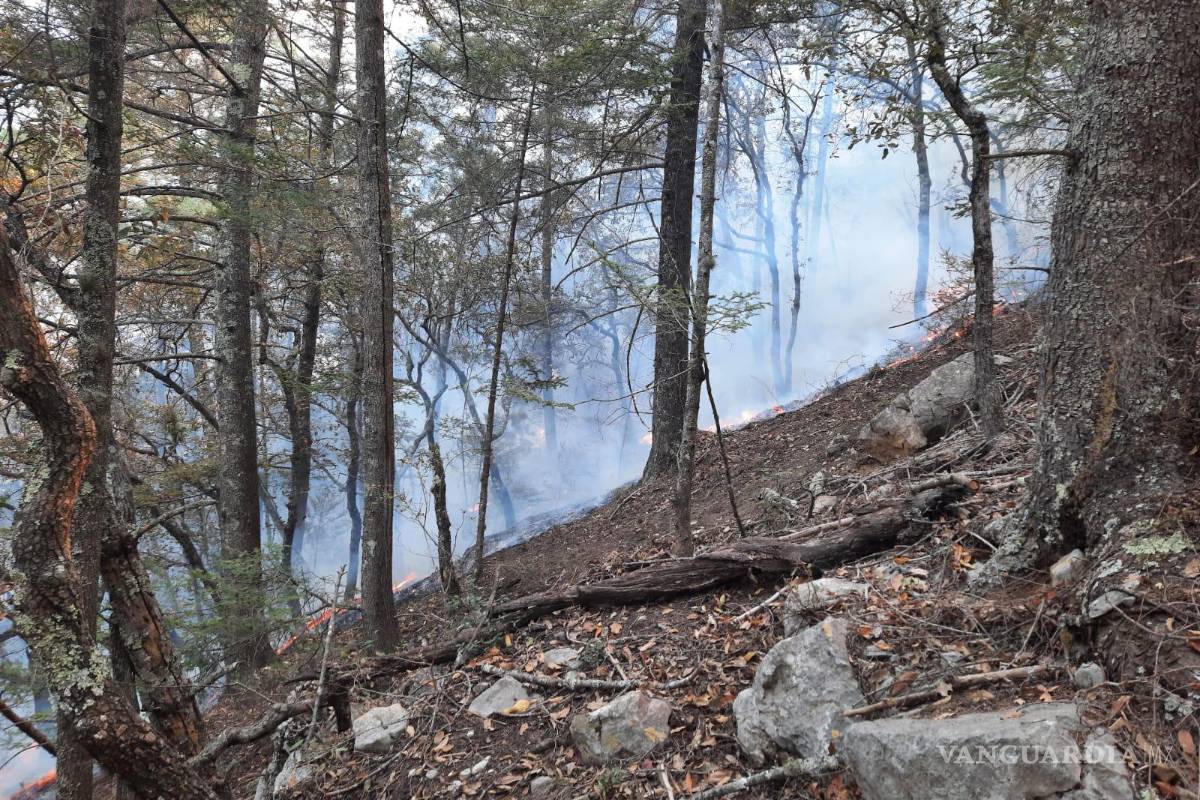 Confirman 80% de control en incendio en Sierra de Santiago, Nuevo León