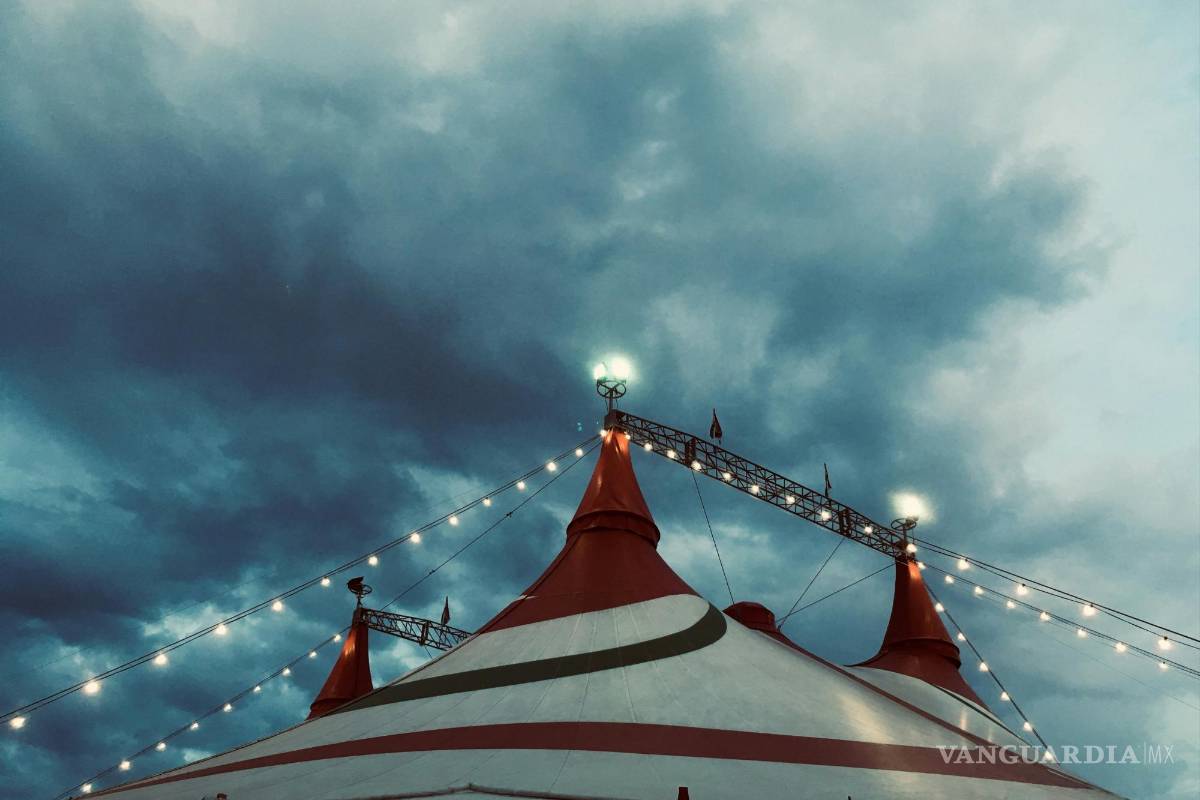 Para una zorra un coyote