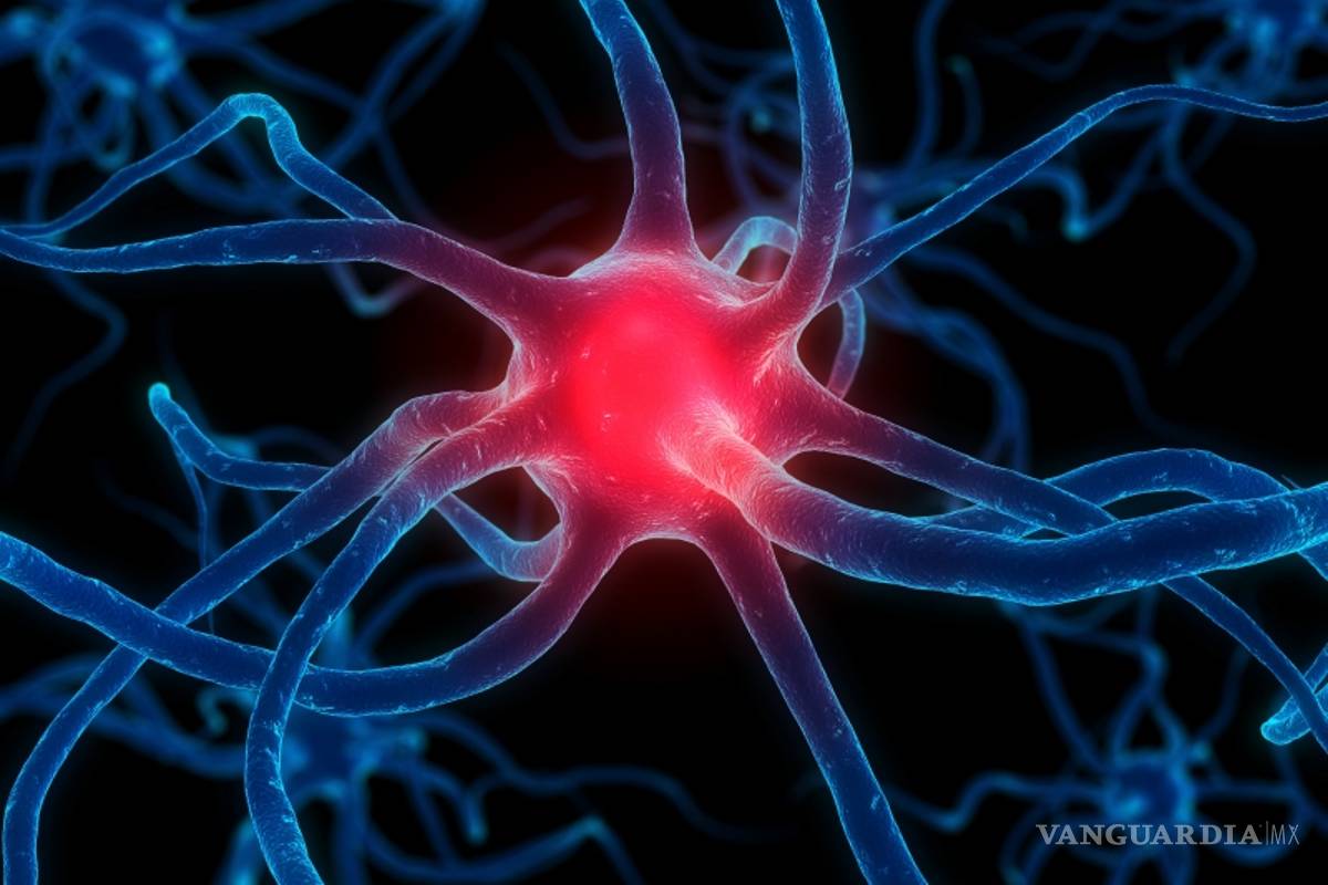 $!Los 10 síntomas tempranos para saber si padeces Parkinson