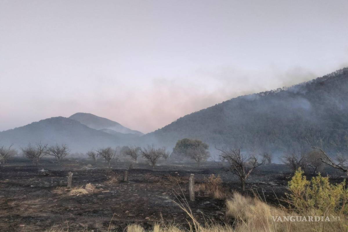 Coahuila, estado con más superficie en riesgo de incendios