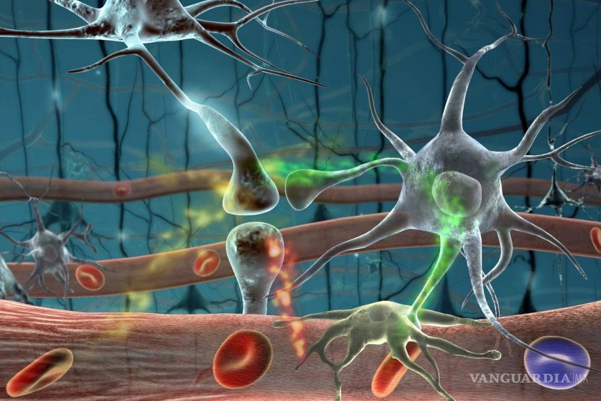 La cocaína hace que tus neuronas se suiciden