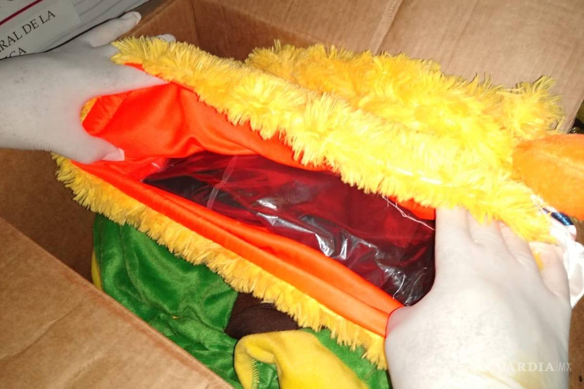 Mandan droga en paquetería; realizan investigación en negocio del centro de Saltillo