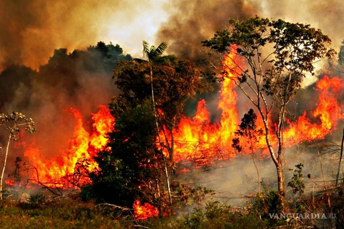 Humo de incendio en Amazonas se ve desde el espacio #PrayforAmazonia