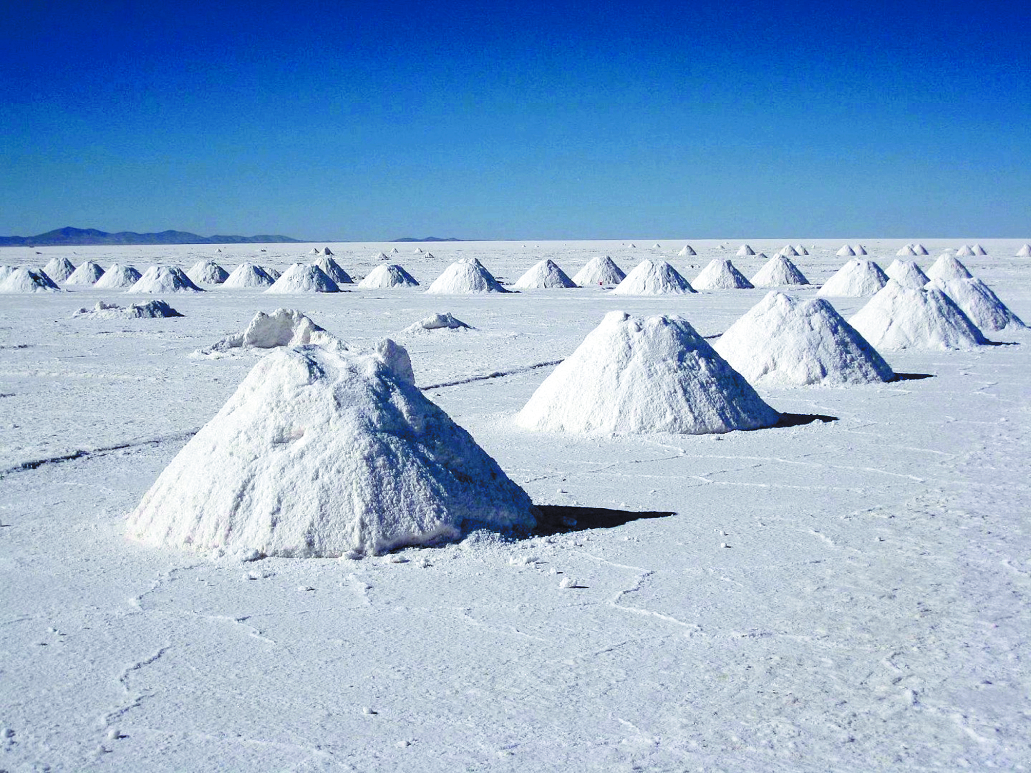 Los dueños del litio