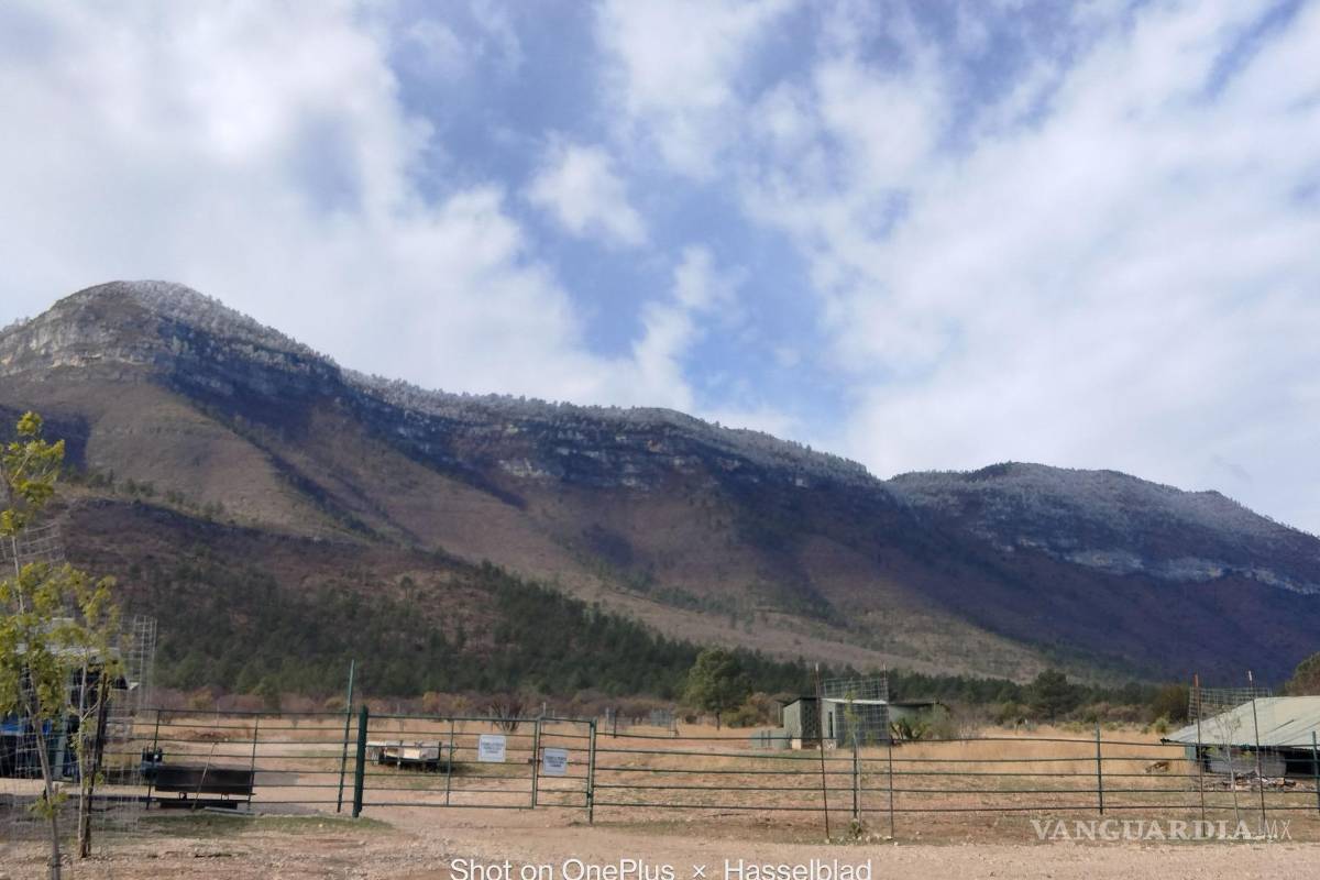 Ocampo: Inesperada nevada cubre la Sierra Maderas del Carmen mientras se combate incendio devastador
