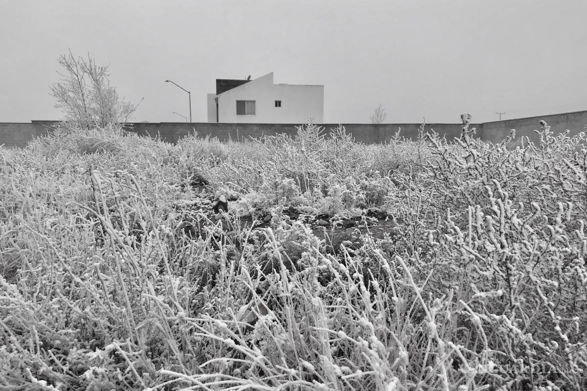 Ramos Arizpe se viste de blanco (fotogalería)