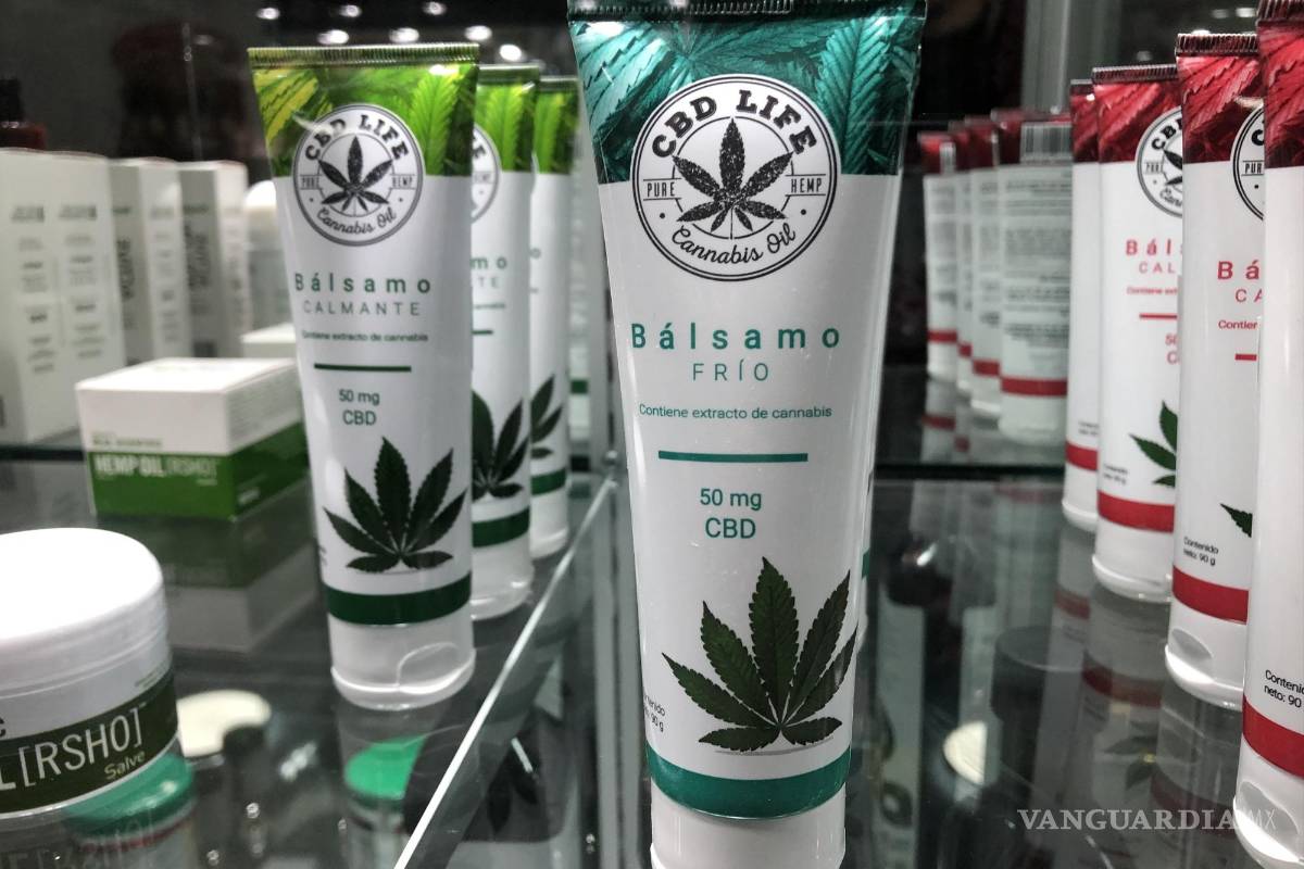 Saltillo: Adultos mayores aumentan consumo de productos derivados del cannabis (mariguana)