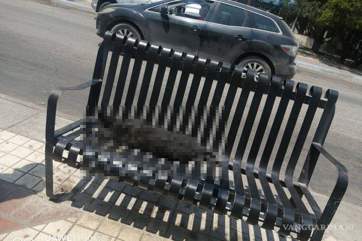 ¿Pudimos salvarlo? Fallece perrito presuntamente por altas temperaturas en Centro de Saltillo