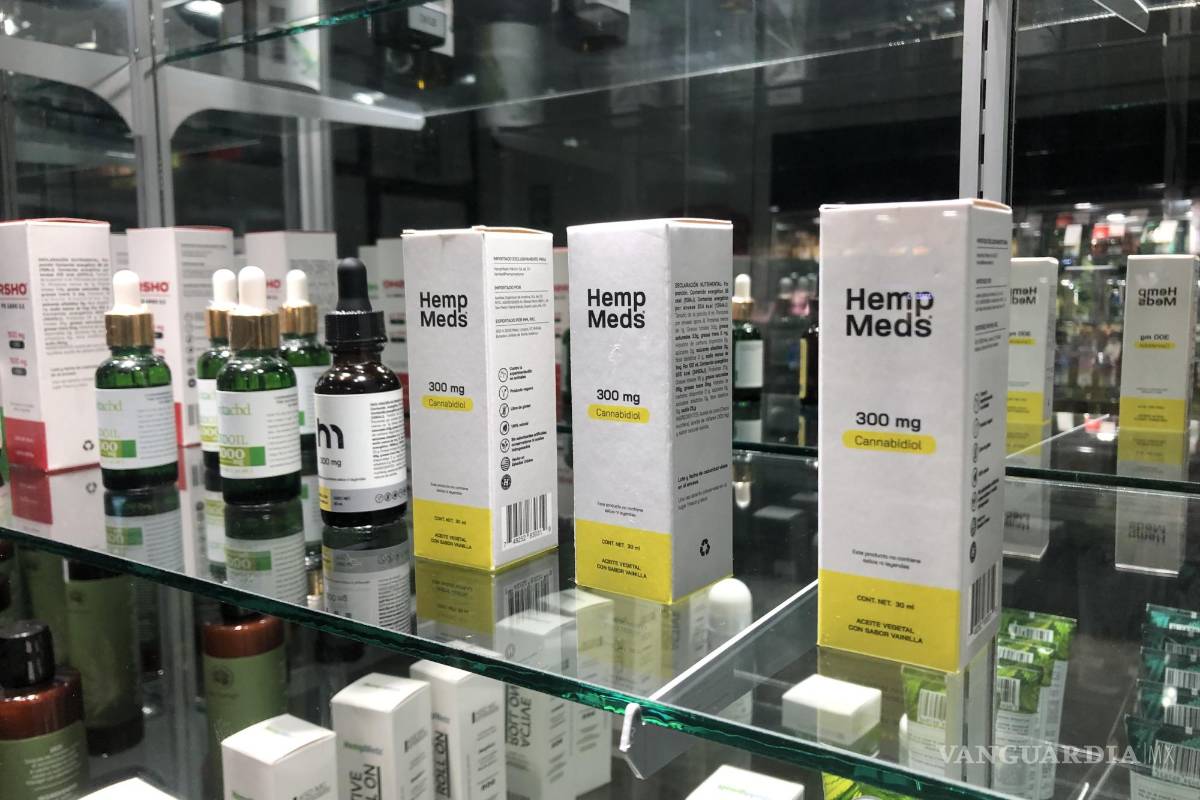 Saltillo: Adultos mayores aumentan consumo de productos derivados del cannabis (mariguana)