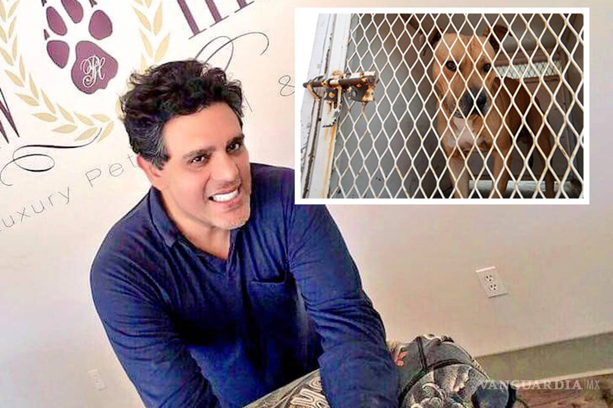 Max, el perro Pitbull que atacó a Iker, estará rehabilitado en tres meses: actor Raúl Julia