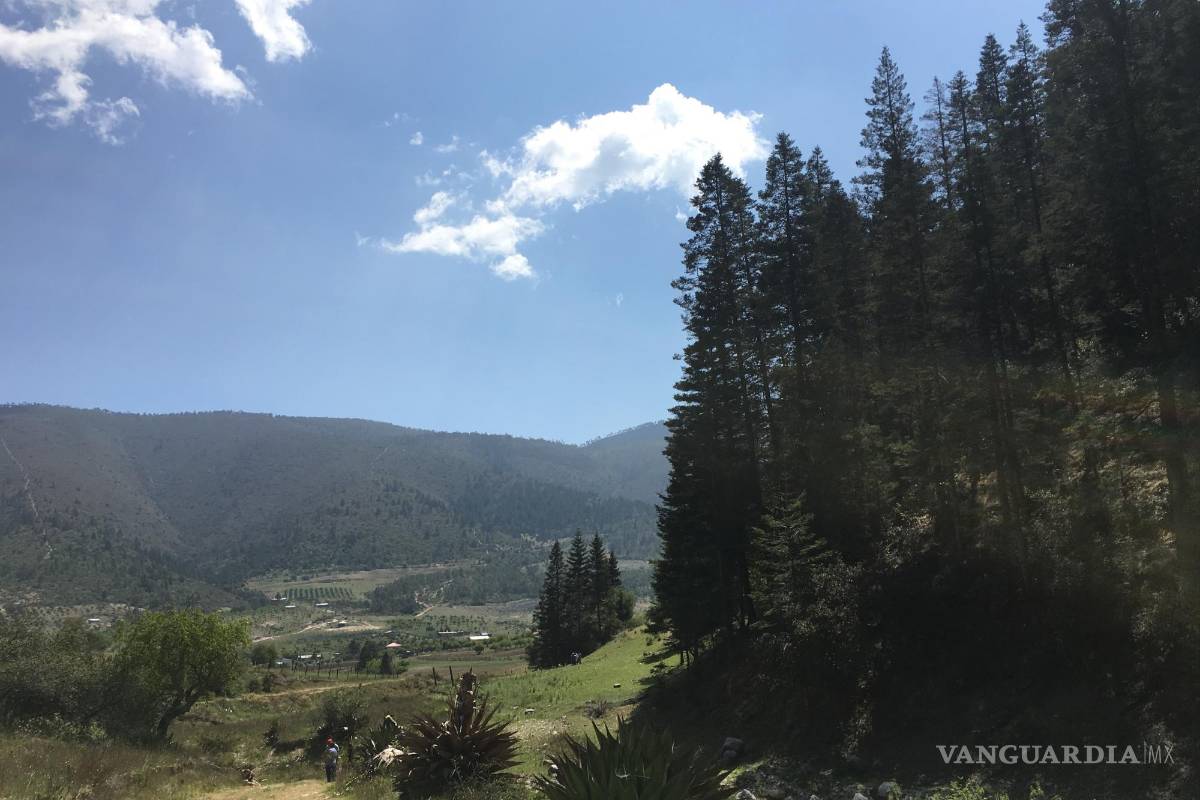 Presentan plan de ‘mini ciudad’ en la sierra, en límites de Arteaga y Nuevo León; tendrá 7 mil viviendas y un estadio