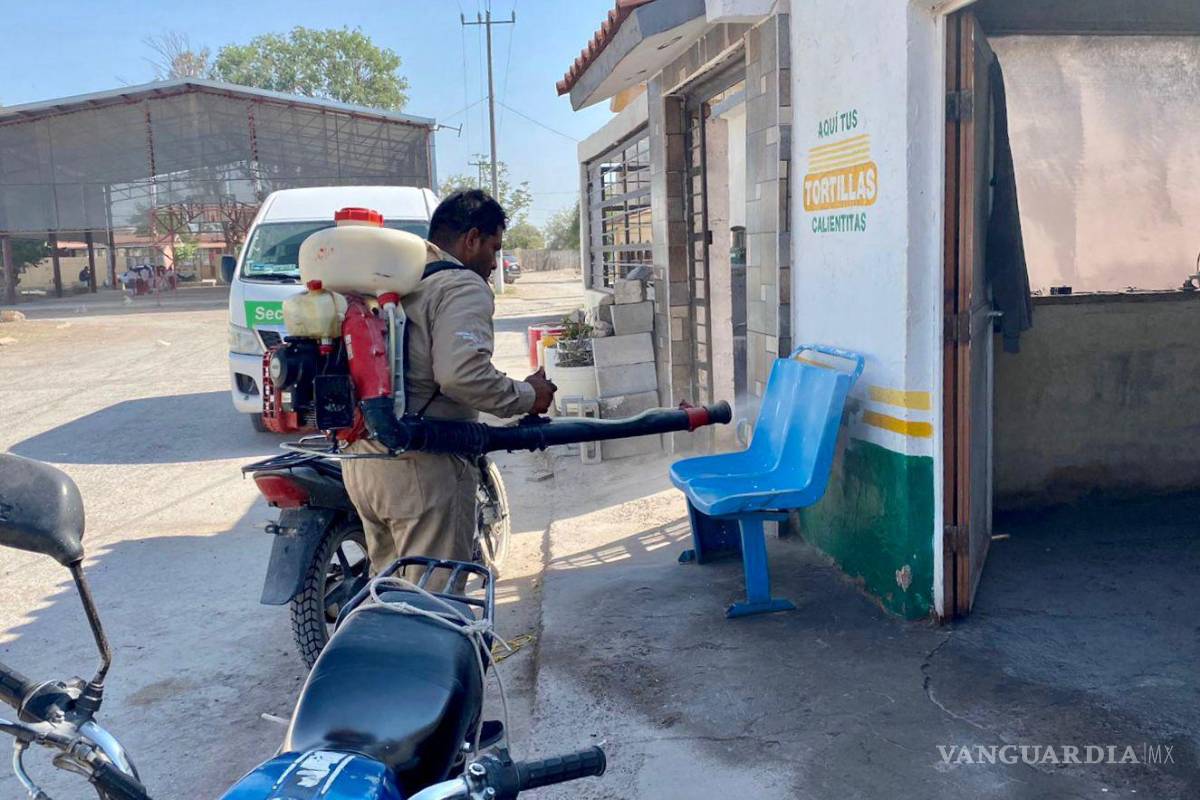 ‘En La Laguna estamos teniendo problemas con casos de rickettsia