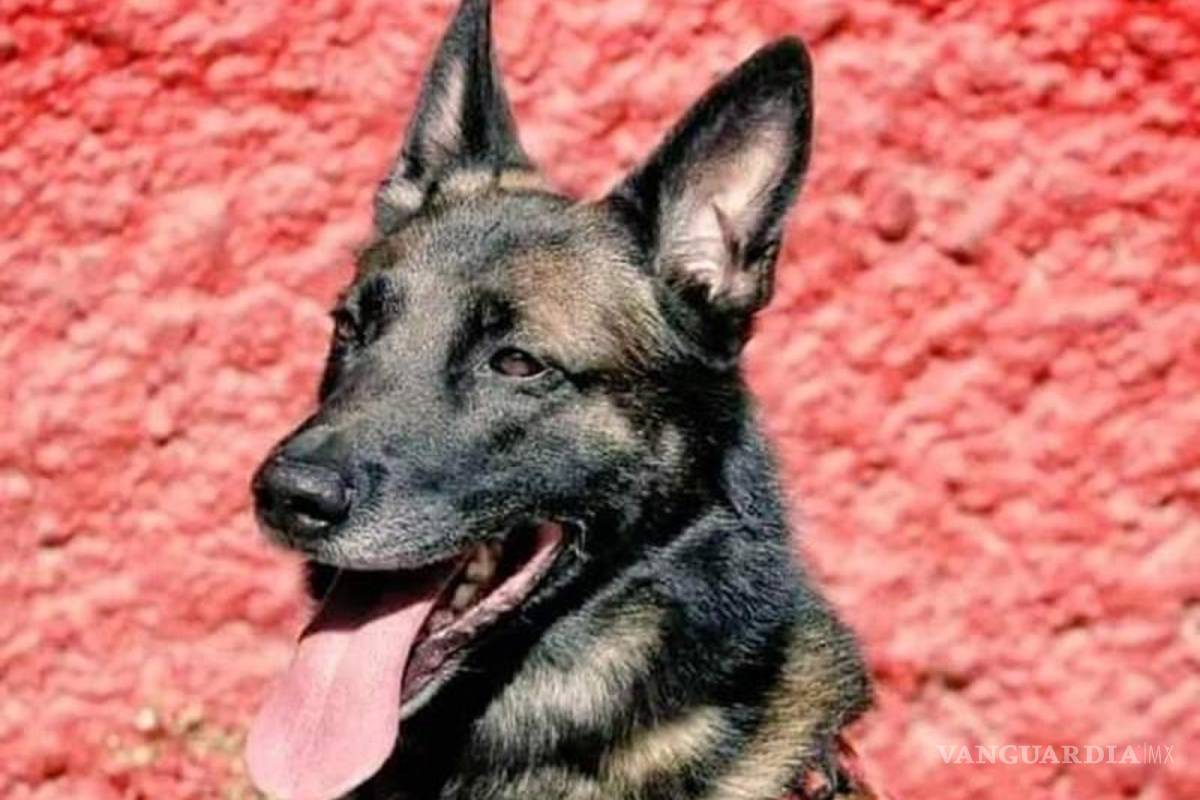 ¡Proteo regresará a México como un héroe! Sedena repatriará su cuerpo al país