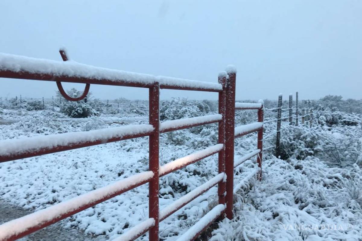 $!Cubre aguanieve en Piedras Negras; piden extremar precauciones