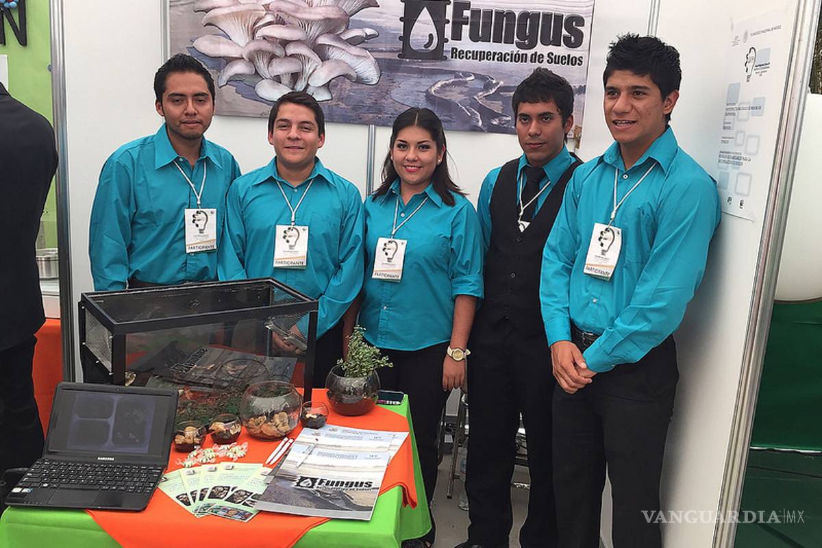 Mexicanos crean método para eliminar hidrocarburos en suelos contaminados