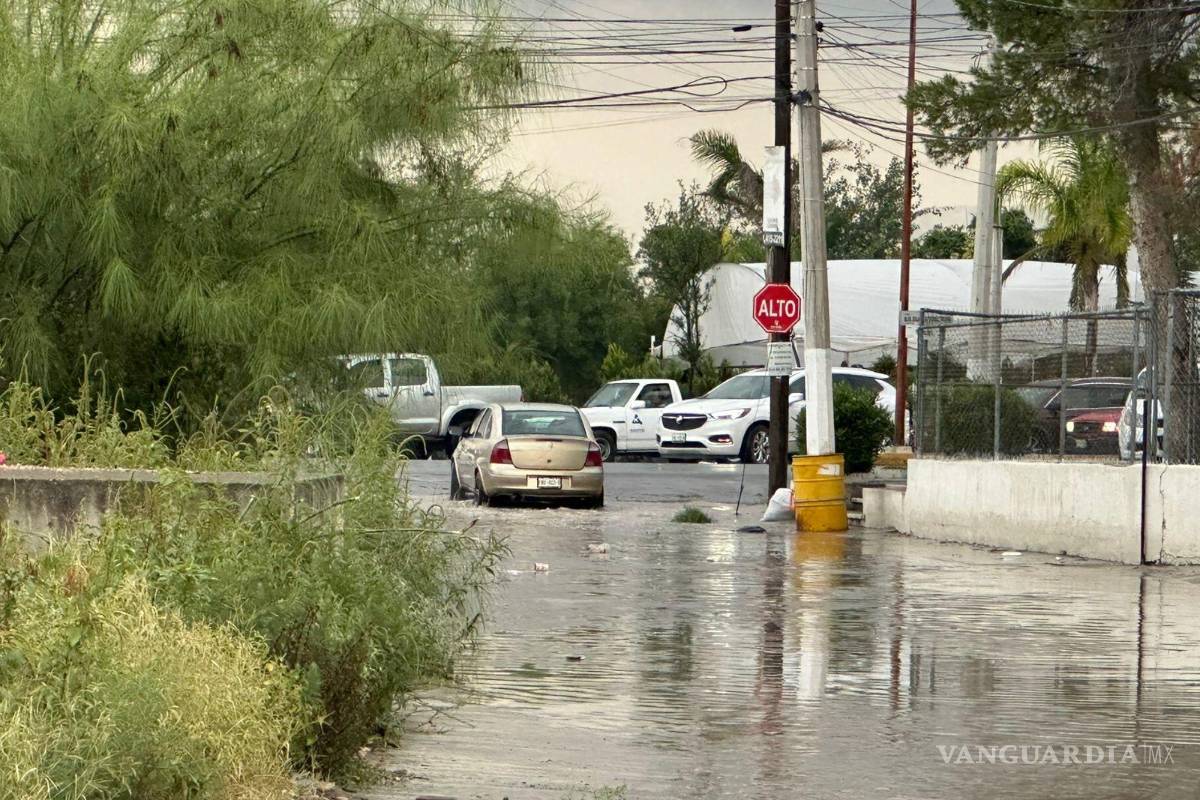 Continúan encharcamientos al norte de Saltillo