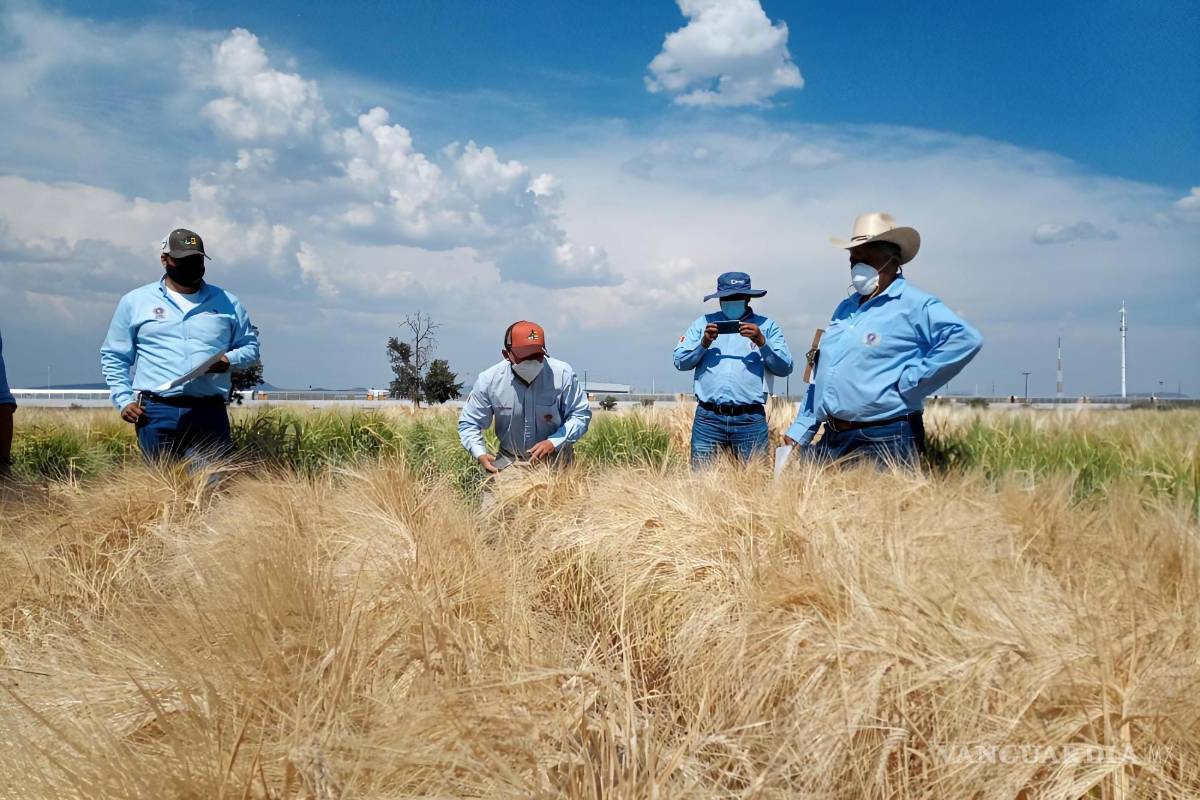 AB InBev, mayor cervecera del mundo, busca proteger dos acuíferos mexicanos