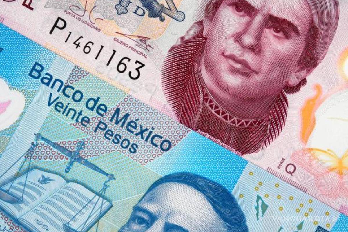 Denuncian desvío de recursos públicos en la Concanaco