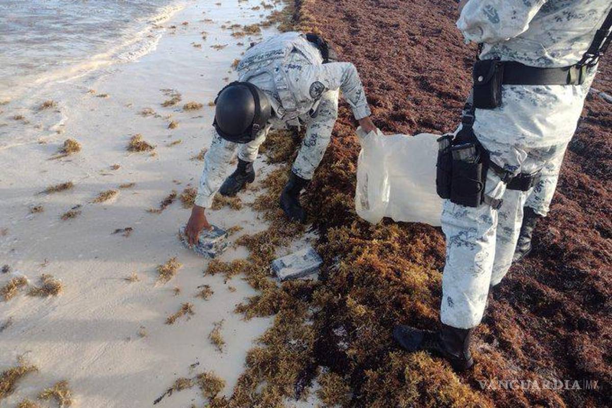 Encuentran cocaína entre sargazo en la playa, en Cozumel