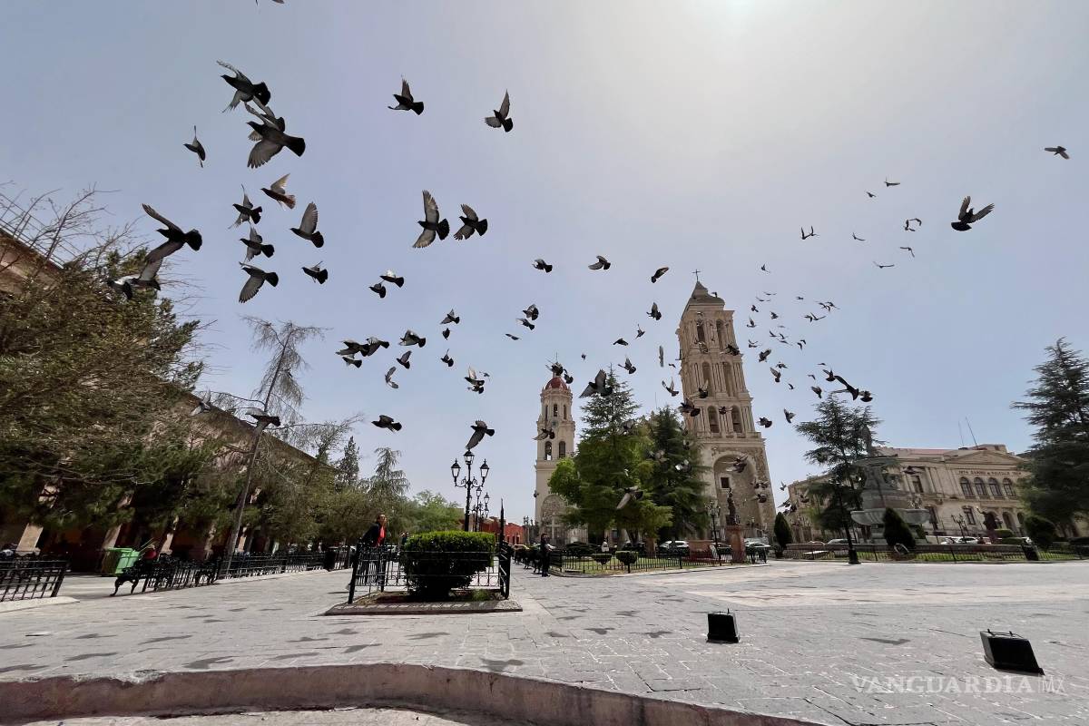 $!La Subsecretaría de Protección Civil de Coahuila emite recomendaciones ante el ingreso del Frente Frío Número 36 y la presencia de vientos fuertes.