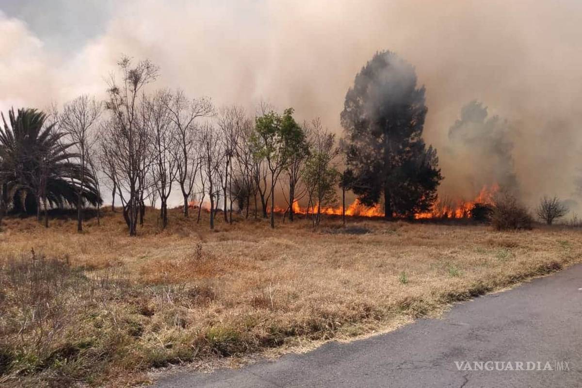 Incendio en Cuemanco: controla gobierno 70% del siniestro