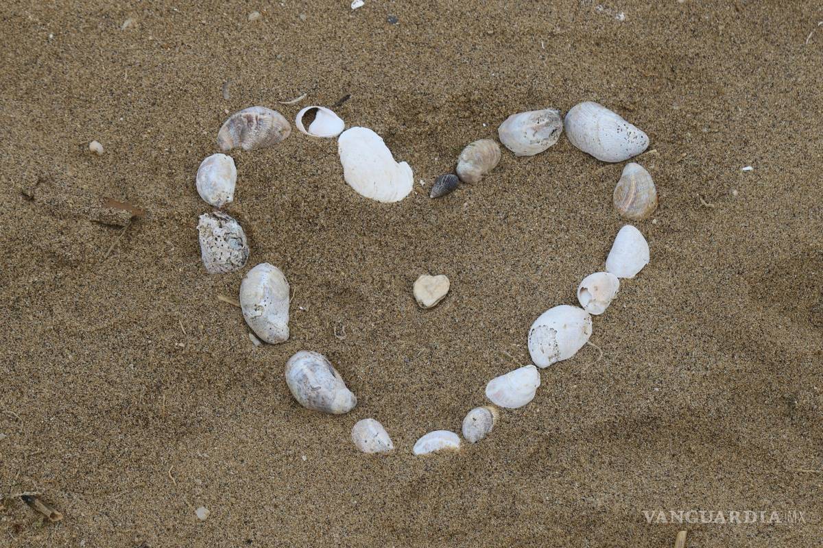 Cerca del 14 de febrero: Verbos que conjugan el amor y amistad