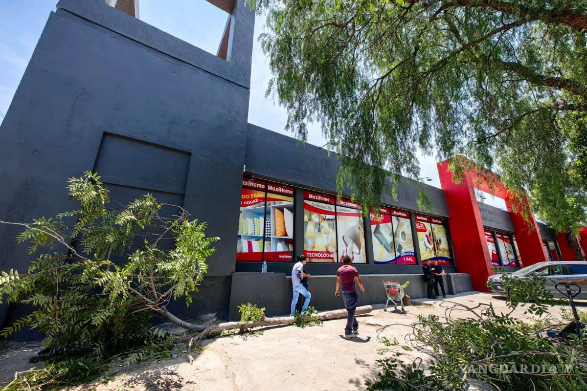 Saltillo: Multan a MaxiHome con 325 mil pesos y reforestación por tala de árboles