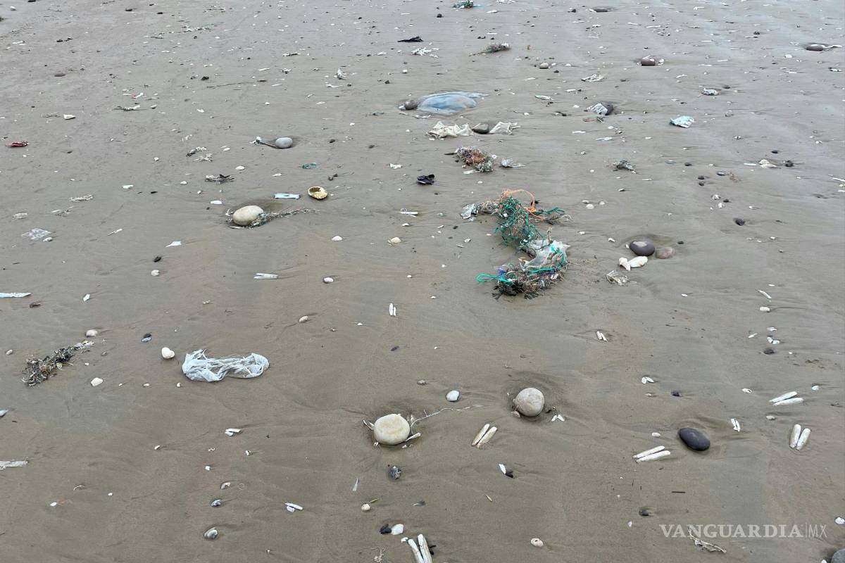 $!¿Estás bebiendo microplásticos con tu té? Estudio revela partículas peligrosas