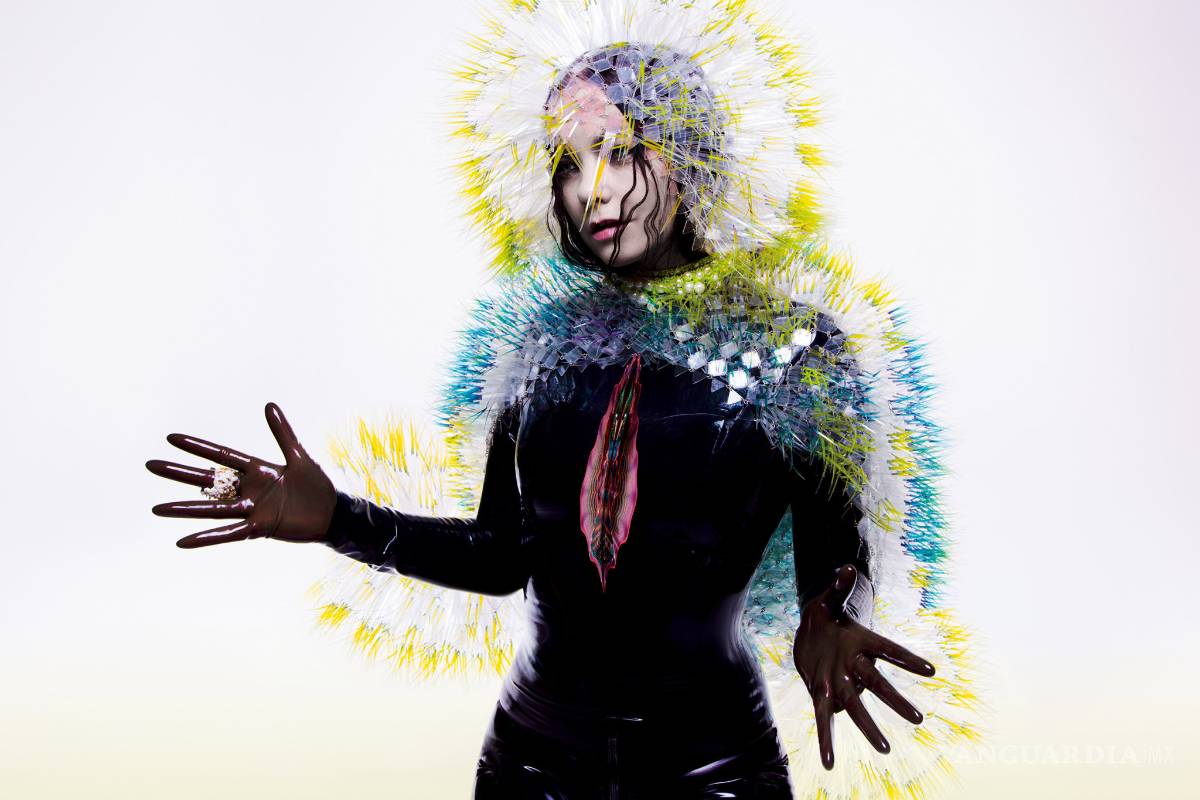 Björk: 5 motivos para ir a su concierto